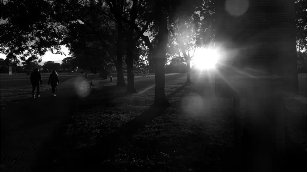 a black and white image of  a park sunset