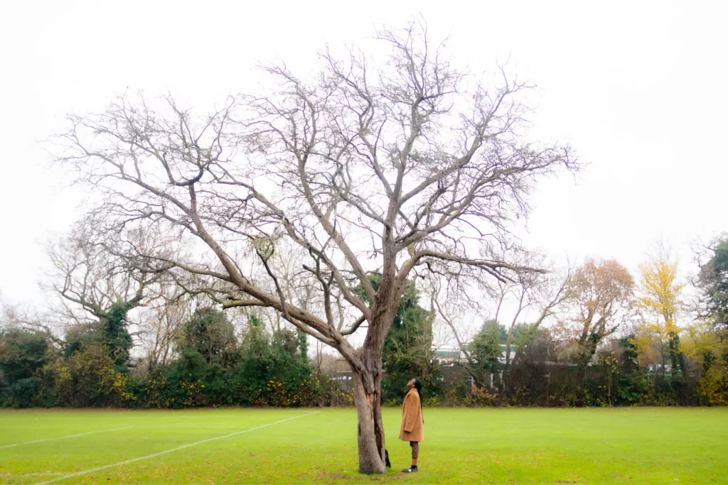 a girl looking at a tree